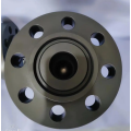Personalize válvulas de bola de aço forjadas A105