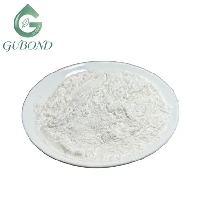 Lactobacillus bulgaricus Freeze-Dried Probiotic Powder