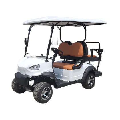 Factory Supplies New Scenic Electric GOLF Car - Sightseeing & Airport Golf Carts