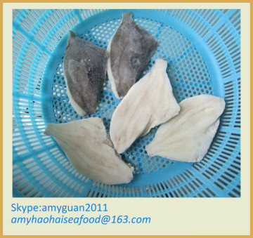 Aquarium Fish For Sale --John Dory fillet
