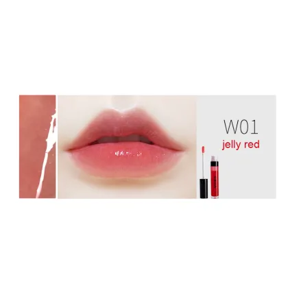 Shinny Pigment Vegan Clear Lip Gloss