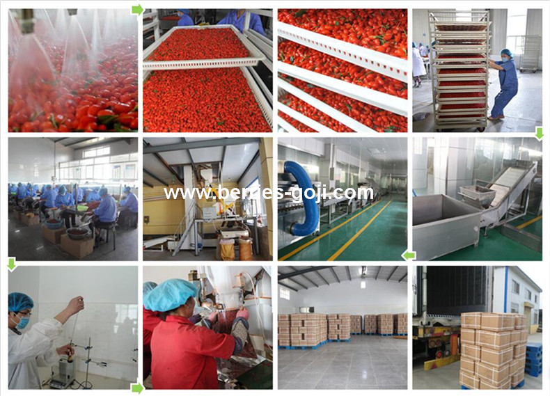 Zhongning Goji Berry