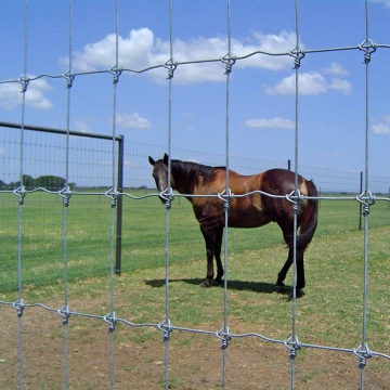 Heavy Duty 2.0mm Woven Wire Fence for Farms and Gardens