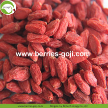 체중 감량 천연 말린 영양 Tibetan Goji