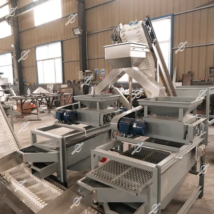 Hot Sale Automatic Nut Processing Plant Equipment: Breaking, Shelling & Cracking Machines for Hazelnuts, Pecans & Almonds