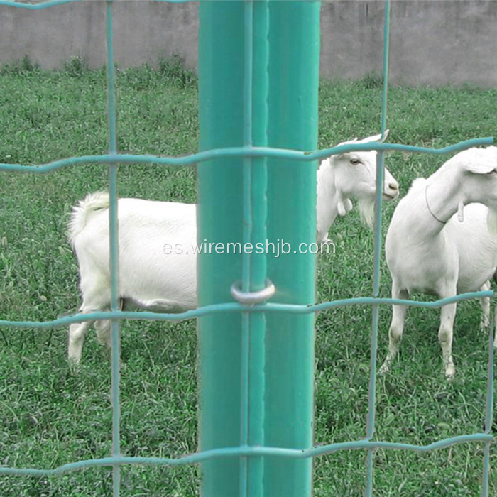 Cerca soldada galvanizada revestida verde de la malla de alambre del PVC