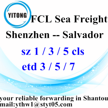 De Shenzhen à Salvador Ocean Freight Shipping Agent