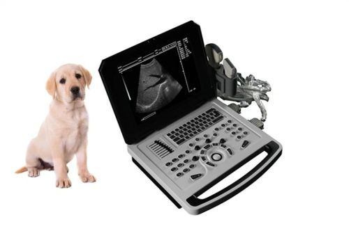 Scanner ad ultrasuoni in bianco e nero veterinario