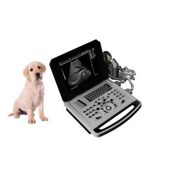 Notebook -Veterinärschwarz -Weiß -Ultraschall -Scanner