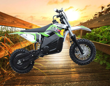 2016 Newest Made in China 500W Outdoor E-Cross Kids electric motorbike