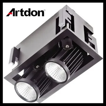 Brand Cree chips 2*10W Led Down Light