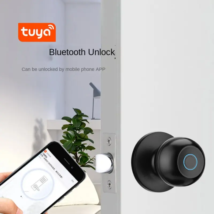 Черный принцип