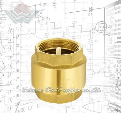 Brass Spring Check Valve with net