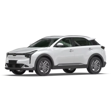 Cyt Neta U SUV: veicolo elettrico puro ad alta velocità con cambio automatico - vendite migliori in Cina