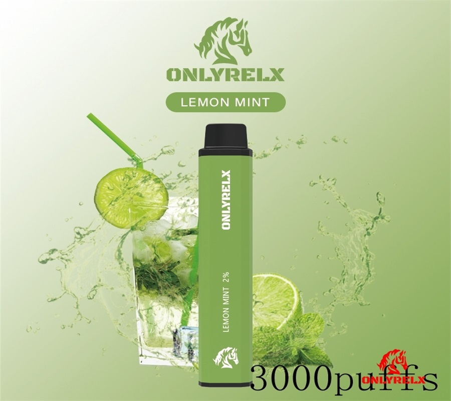 Vape de vape desechable x 3000puffs 650mAh