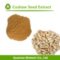 Cushaw Pumpkin Seed Extract Powder 10: 1