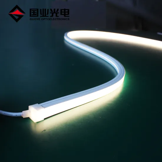 Whole Shaped IP67 15x15mm 12V/24V White RGB Color Top View Emitting Decoration LED Neon Rope Strip Flex Light