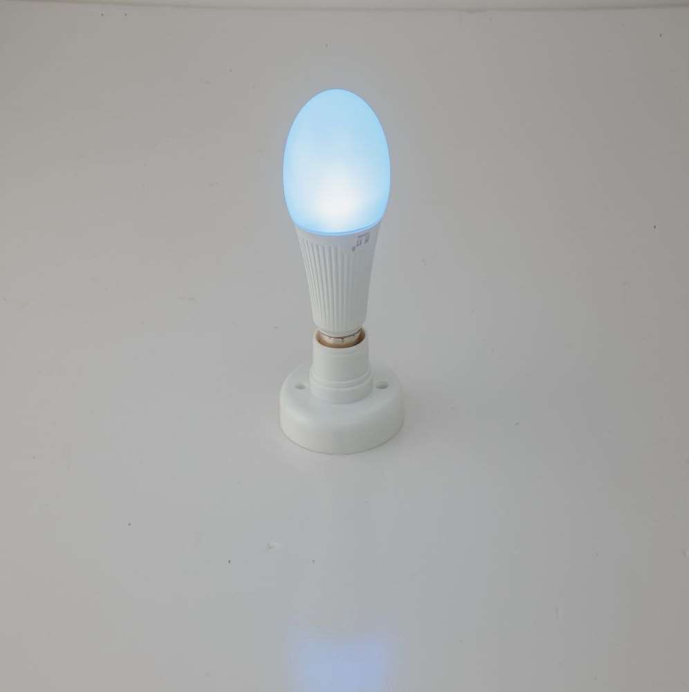 Smart LED Bulb light