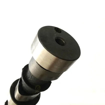 Camshaft for Great Wall DEER SAFE WINGLE ZX Grand Tiger 491Q Engine Accessories