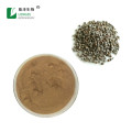 Top quality Bulk chasteberry fruit powder
