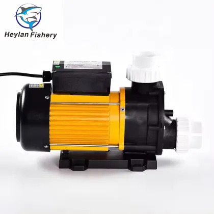 RAS Aquaculture Sea Water Pump - Seawater Plastic Pump with AC Motor