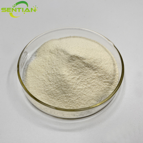 Premium Plant Extract Phosphatidylserine