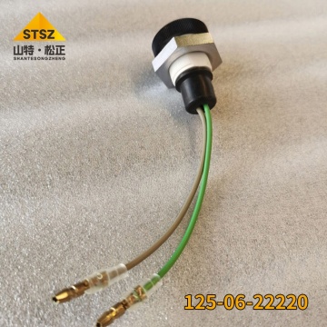 D41A-3/D60A-8 Lamp 125-06-22220