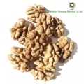 100% Natural Walnut Kernels Light Halves (LH)