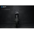 Electric bike 1000W e motorbike