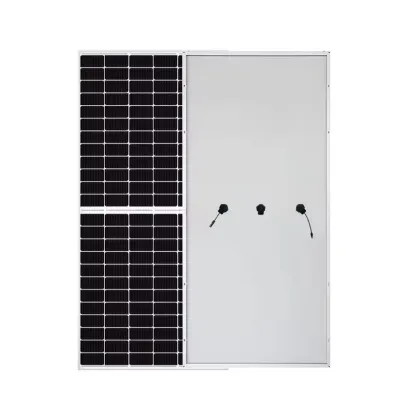 Risen Tier 1 Bifacial Monocrystalline Solar Panels 370W-400W 144 Cells
