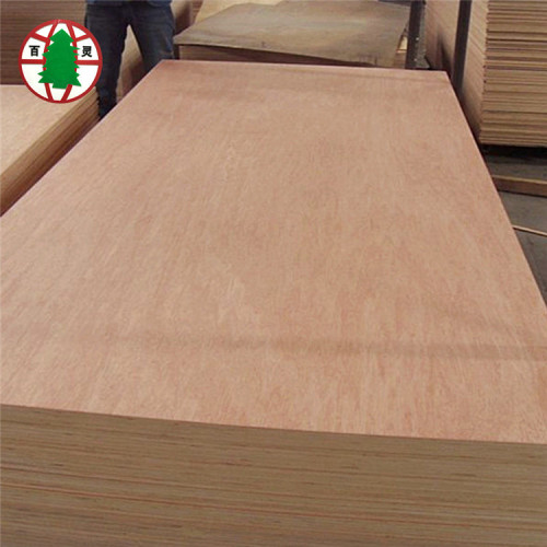 Madera contrachapada laminada de Bintangor de la base del álamo de alta calidad