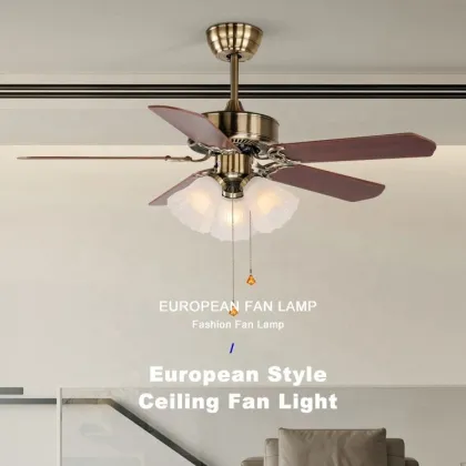 220V Lighted Ceiling Fan with Fancy Zippers - Hot Selling New Product