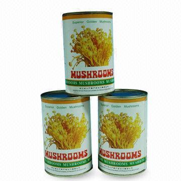 Canned Mushrooms, Various Packing Ways are Available