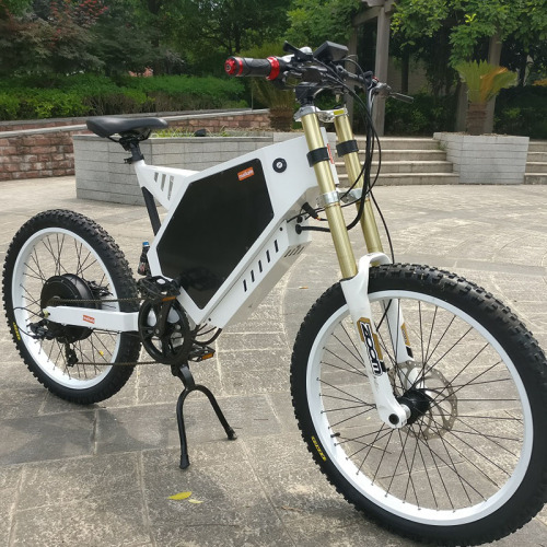 Custom CE Approved Fat Tire Electric Bikes