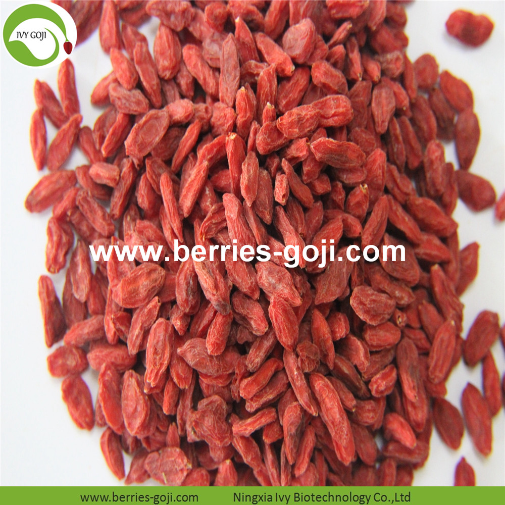 Goji berry