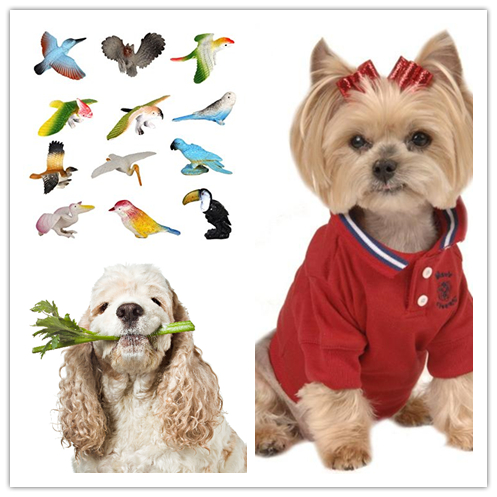 dog food orijen dog food orijen