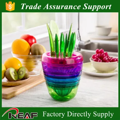 Fruits plant kitchen decoration Salad making tools