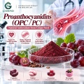 Proantocianidinas OPC 50%–98% Extracto vegetal para formulaciones cosméticas y alimentarias