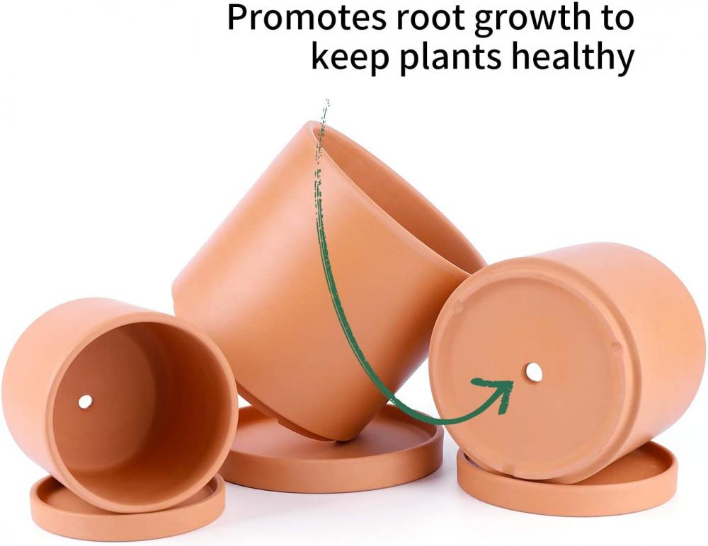 Penanam terakota dengan lubang drainase dan piring