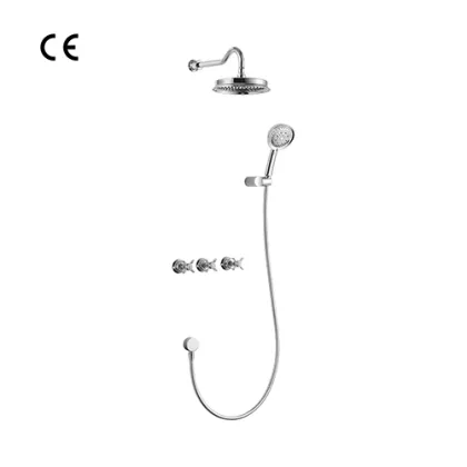 Shower Combination with Head & Hand Shower