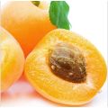 Fresh Apricot best fruit