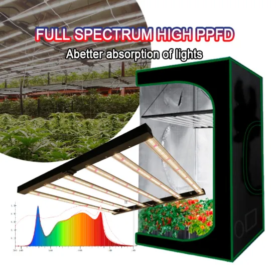 Indoor Greenhouse Full Spectrum Plants Grow Lights