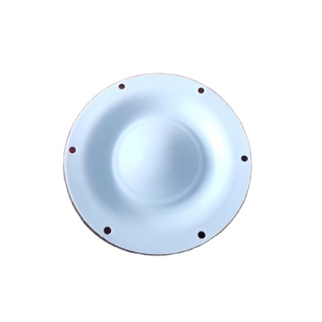 Diaphragm PTFE/EPDM FIT ALMATEC PUMP E15 11503167