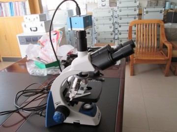 Biological Blood Cell Video Microscope for Research
