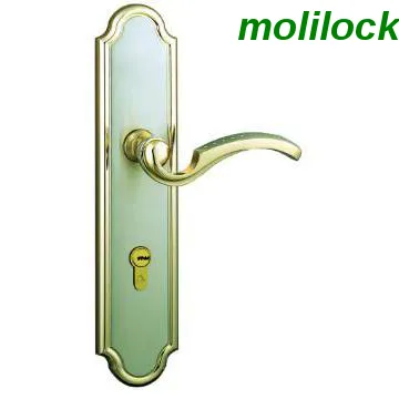 Handle Door Locks for Steel Door, Entrance