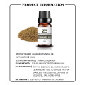 Caraway Oil Bulk Caraway Essential Oil