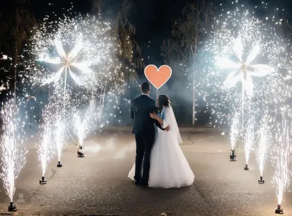 Tongxin Wireless Remote Control Fireworks System for Weddings