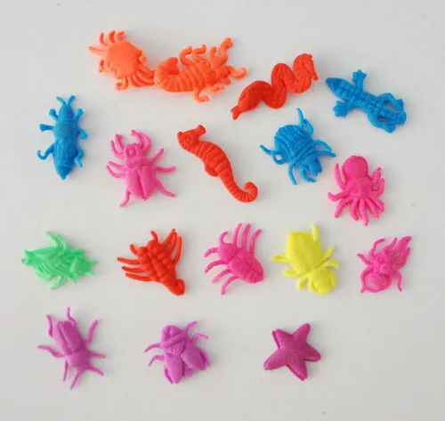 Growing Small animal