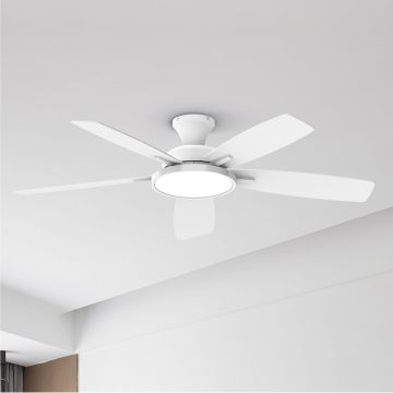 6 Speed Dimmable DC Motor LED Ceiling Fan with Remote Control