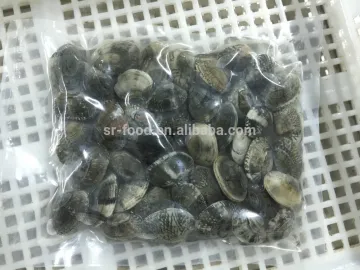 V-packed cooked short clam necked in shell